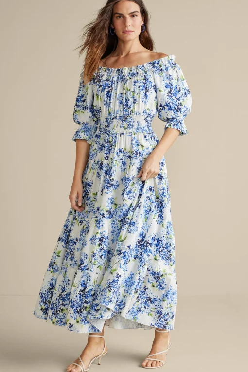 Soft Surroundings patterned | maxi-Rosana Maxi Dress